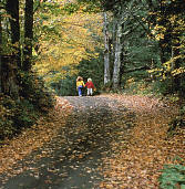 Children Walking on Rural Road